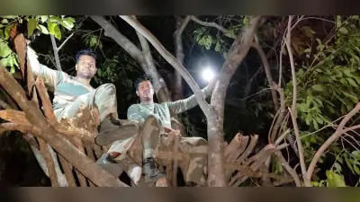 राउरकेला वन मंडल : छह रेंज में हाथी की गणना शुरू, 250 कर्मी नियोजित