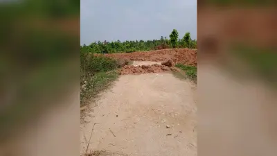 पेड़ लगाने के लिए वन विभाग ने सड़क पर ही खोदा ट्रेंच