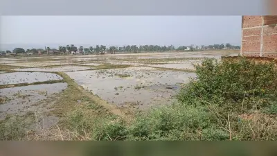मौसम का बदला मिजाज, खेत-खलिहान में भरा पानी