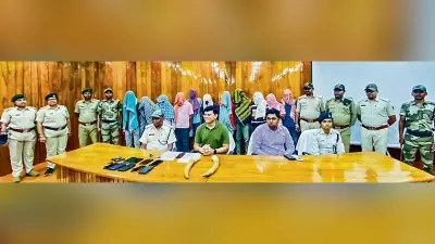 राउरकेला : बांकी रेंज के बड़गांव में हाथी के दो दांत जब्त, 10 तस्कर गिरफ्तार