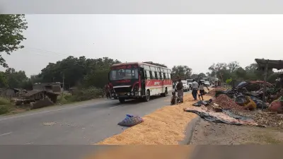 Bhagalpur News: हादसे को आमंत्रण दे रहा एनएच-31 पर सूख रहे मकई का दाना
