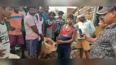 कोसी नदी में मिली 125 किलो की बगहैर मछली, देखने के लिए लोगों की उमड़ी भीड़