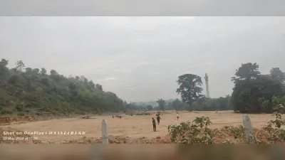 भुरकुंडा में बन रही है राज्य की सबसे बड़ी सखुआ की नर्सरी