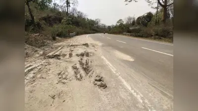 एनजीटी के निर्देश का खुलेआम हो रहा है उल्लंघन