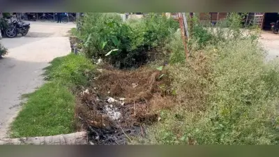 देखरेख के अभाव में माइनर क्षतिग्रस्त