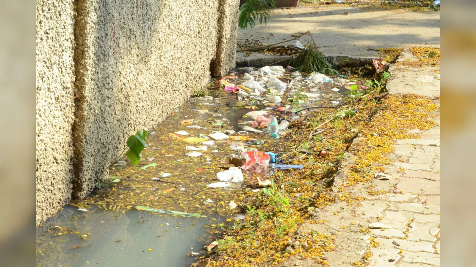 100 माइक्रोन से कम के सभी पॉलीथिन खतरनाक, फिर हो धड़ल्ले से हो रहा इस्तेमाल