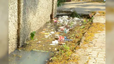 100 माइक्रोन से कम के सभी पॉलीथिन खतरनाक, फिर हो धड़ल्ले से हो रहा इस्तेमाल