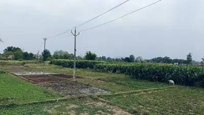 भीषण गर्मी का कर्फ्यू…सुबह 10 बजे ही सड़कों पर सन्नाटा