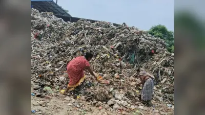 शहरी गीला कचरा का महिलाएं करेगी पृथिकरण, तैयार होगा कंपोस्ट व फर्निंस वायल