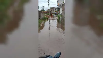 बारिश ने खोली नप की व्यवस्था की पोल