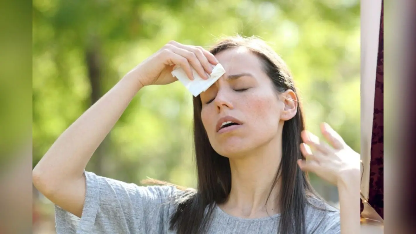 Heatstroke Ayurvedic Remedies: ये हैं लू से बचने का आयुर्वेदिक उपचार