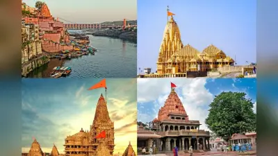 IRCTC Tour Package: पार्टनर के साथ करें कूर्ग और मैसूर की सैर, आईआरसीटीसी लेकर आया सस्ता टूर पैकेज