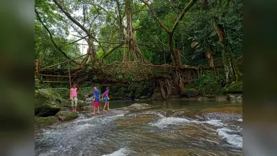Travel : Meghalaya Tourism : मानव निर्मित अद्भुत चमत्कार हैं मेघालय के ‘Living Root Bridges’, स्थानीय निवासियों के लिए हैं बेहद महत्वपूर्ण