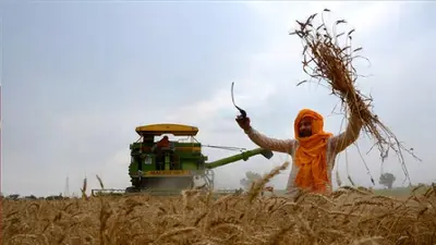 Jharkhand News: किसानों की फसल का अब एक रुपये में होगा बीमा, 31 अगस्त तक कर सकते हैं आवेदन