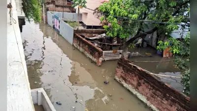 Muzaffarpur Weather: मुजफ्फरपुर के निचले इलाके में बारिश से जलजमाव, लोगों की बढ़ीं मुश्किलें