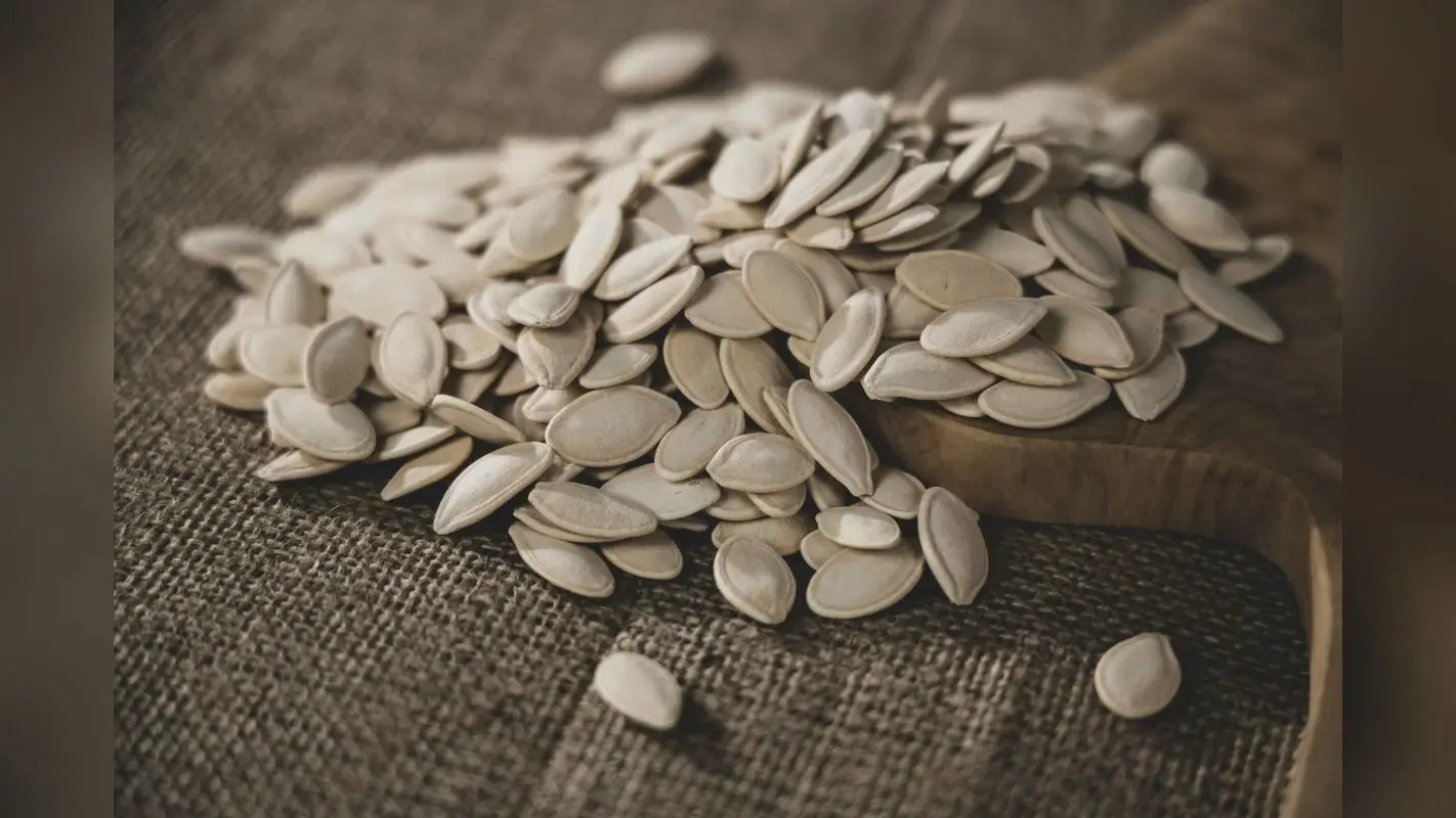 Pumpkin Seed: बोन हेल्थ से लेकर हार्ट तक का ख्याल रखते हैं पंपकिन सीड्स, जानें इसके अन्य फायदे