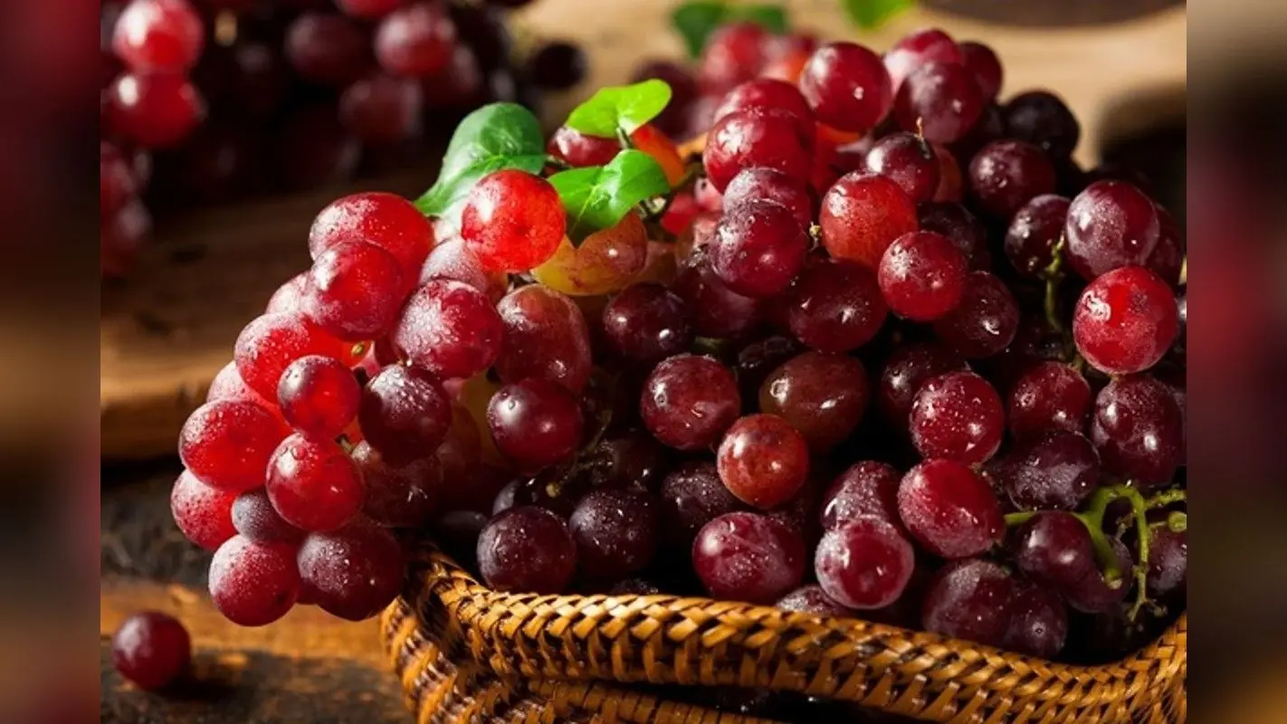 Red Grapes Benefits: हार्ट से लेकर किडनी को रखना है दुरुस्त तो खाना शुरू कर दें लाल अंगूर, डायटीशियन से जानिए
