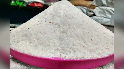 Benefits Of Rock Salt: सिर्फ व्रत में ही नहीं, कई बीमारियों के इलाज में भी फायदेमंद है सेंधा नमक का सेवन