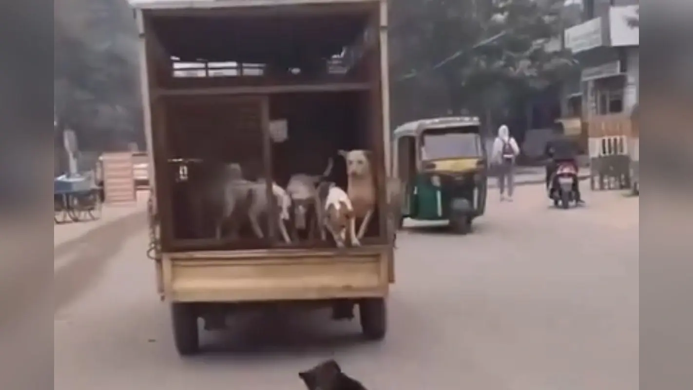 Viral Video: इस लड़के ने किचन में लगाया ऐसा देसी जुगाड़, सब बोल रहे वाह-वाह