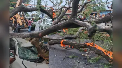 रांची में बदला मौसम, आंधी में विशाल पेड़ वाहनों पर गिरने से दो की मौत, तीन की हालत गंभीर, रिम्स में भर्ती