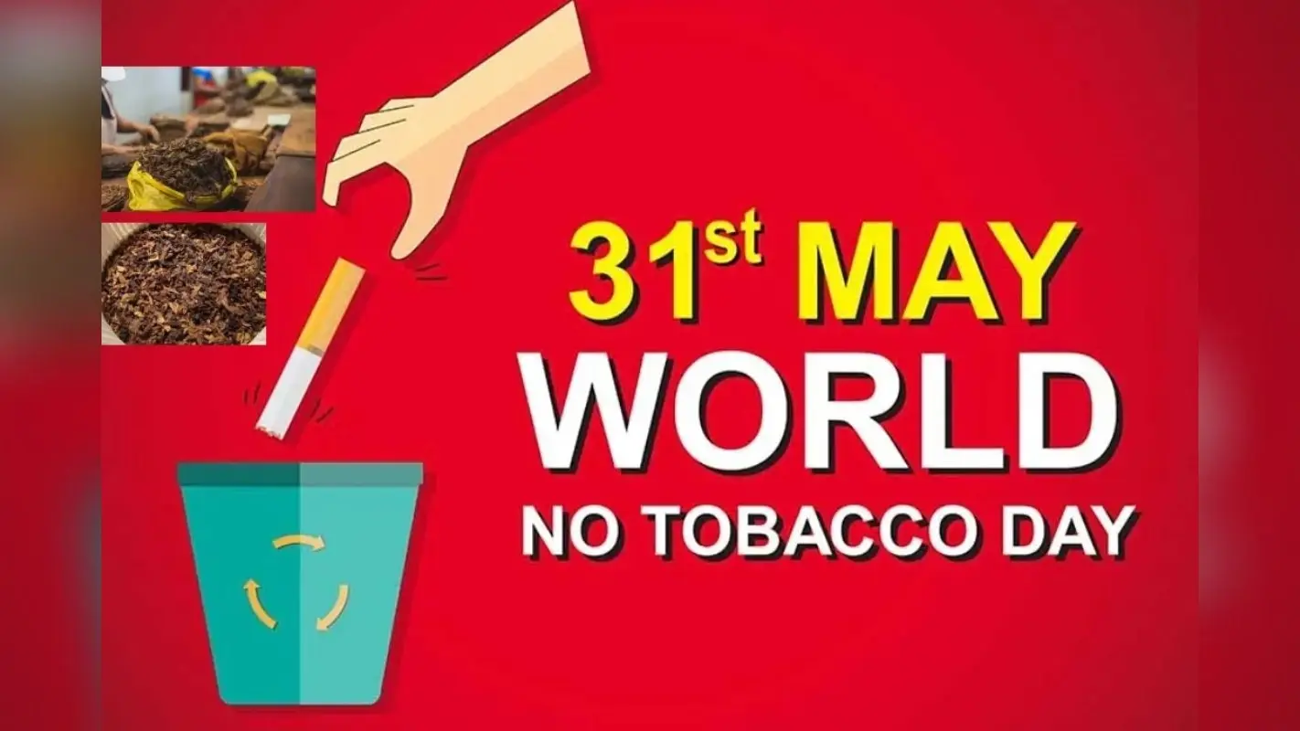 World No Tobacco Day 2024: जानें कब और क्यों मनाया जाता है विश्व तंबाकू निषेध दिवस