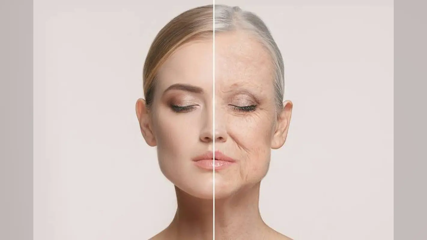 Young Skin Tips: ब्यूटी एक्सपर्ट से जानिए बुढ़ापे में यंग दिखना है तो चेहरे पर लगाएं ये होममेड पैक