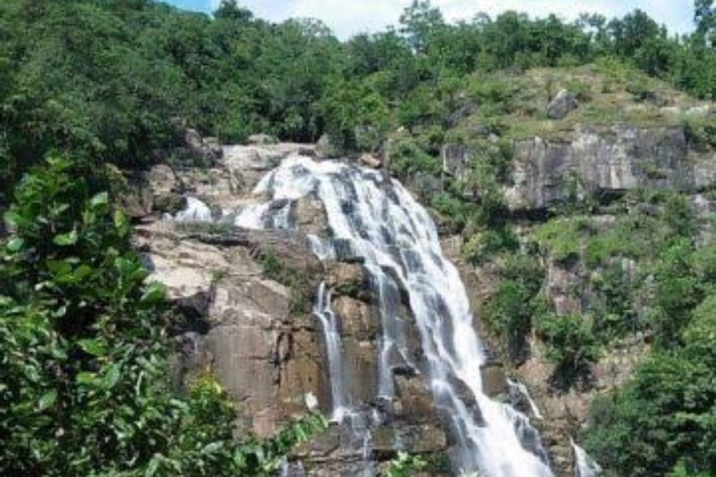 Palamu