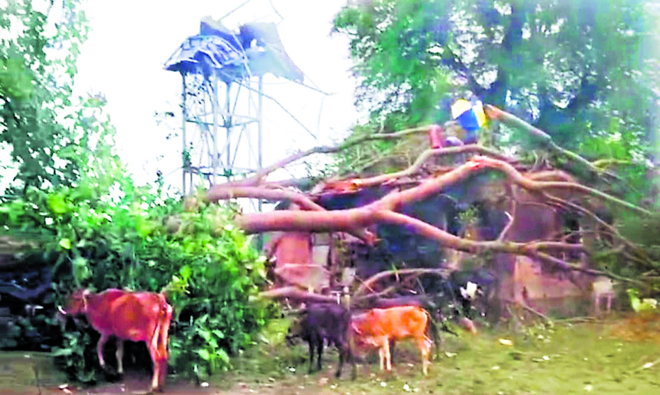 तीन दिन मॉनसून लेट, अब 21 के बाद ही उम्मीद