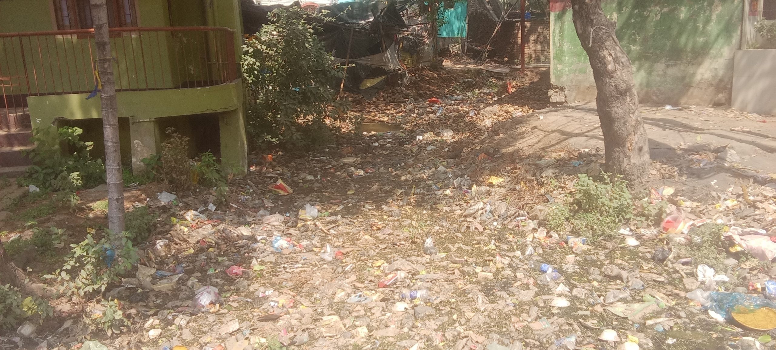 हाथीखाना मोड़ से नया टोला पुल तक नाले पर अतिक्रमण