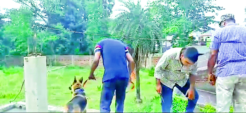 इसीएल के रिटायर्ड कर्मचारी की सिर में गोली लगने से मौत