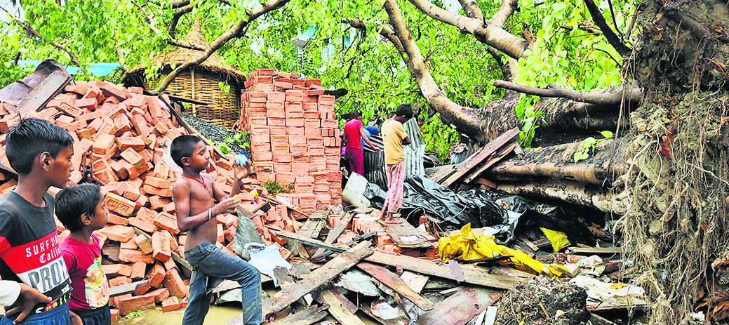धोबवल में तेज आंधी के साथ हुई बारिश से पीपल का पेड़ गिरा, चार घायल