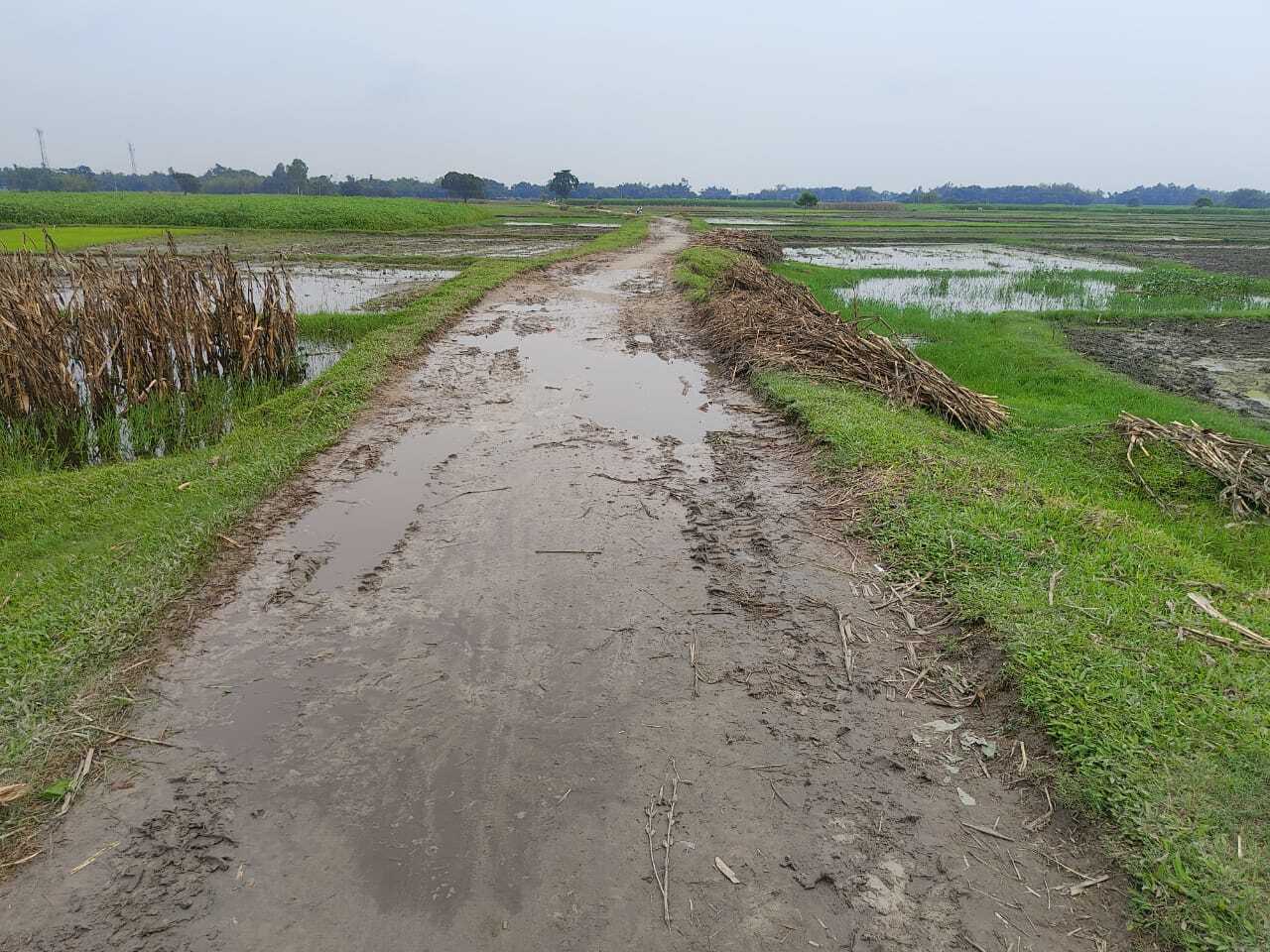 पोठिया से बंगाल सीमा तक जाने वाली कच्ची सड़क जर्जर, सुधि लेने वाला कोई नहीं
