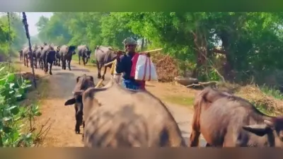 World Environment Day: बारिश की कमी यहां चार माह के लिए लोगों को कर देती हैं खानाबदोश