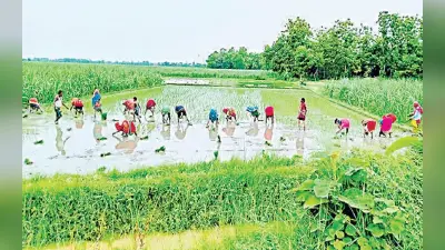 Agriculture: फल और सब्जी की बर्बादी रोकने के लिये क्लस्टर बनाने पर किया गया मंथन