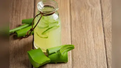 Aloe Vera Juice: एलोवेरा का जूस पीने के 4 लाभ