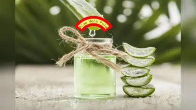 Aloe Vera Pulp: रोजाना एक चम्मच एलोवेरा का गुद्दा खाने के 4 फायदे