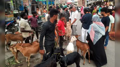 Bakrid 2024: मुजफ्फरपुर में 51 हजार में बिका 85 किलो का बकरा, माकूती सेवइयों की भी रही डिमांड