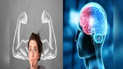 Brain Health : बुद्धि में विकास और याददाश्त तेज करने में कारगर यह छह फल