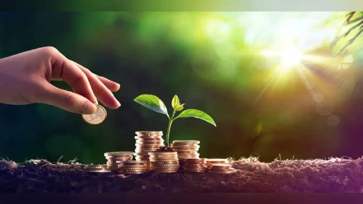 Coin Plants: मनी प्लांट के बाद कॉइन प्लांट देगा पैसा और पावर! जानें घर में रखने के नियम