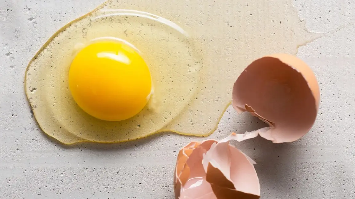 Should we Eat Egg Yolk or Not: क्या अंडे का पीला भाग खाना चाहिए या नहीं