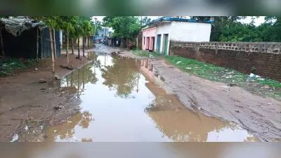 ओके : कीचड़युक्त रास्ते पर आवागमन करने में हो रही परेशानी, भारी बारिश से पाथरा पुराना पंचायत भवन के समीप जलजमाव से आवागमन यातायात प्रभावित