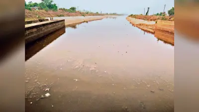 द्रपुरी बराज से पश्चिमी संयोजक नहर में छोड़ा गया 500 क्यूसेक पानी