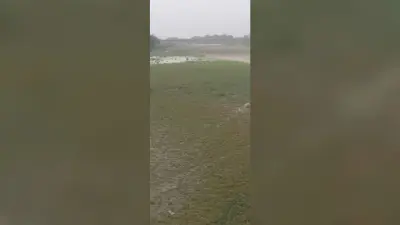 कमला बलान में घुटना भर भी पानी नहीं, तटबंध किनारे बसे लोगों की बढ़ी परेशानी