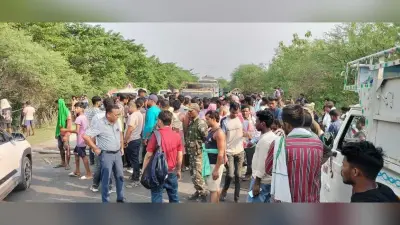 अलग-अलग सड़क हादसे में मवेशी व दो बकरा मरा, सड़क जाम