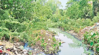 रांची की अधिकतर जलधाराएं गायब, बची हुईं नाले में हो रहीं तब्दील