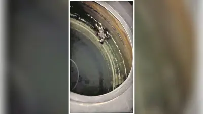 एनएलयू के मेस की टंकी में मिला मृत कबूतर, फिल्टर में कॉकरोच