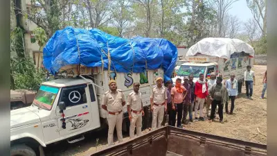 50 हजार का अवैध बीड़ी पत्ता लदा दो पिकअप वैन जब्त