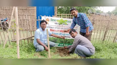 पर्यावरण दिवस पर कोचाधामन प्रखंड में किया पौधरोपण