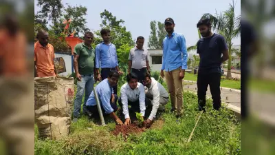 मेधा डेयरी के प्लांट परिसर में लगाये गये पौधे