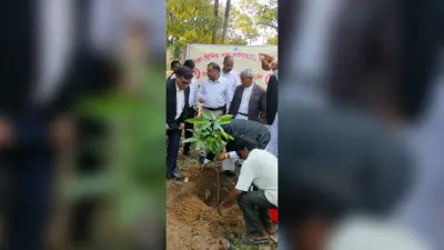 पीडीजे ने पर्यावरण दिवस पर किया पौधरोपण